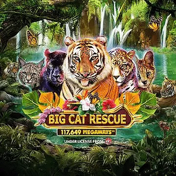 Big Cat Rescue Megaways DNT